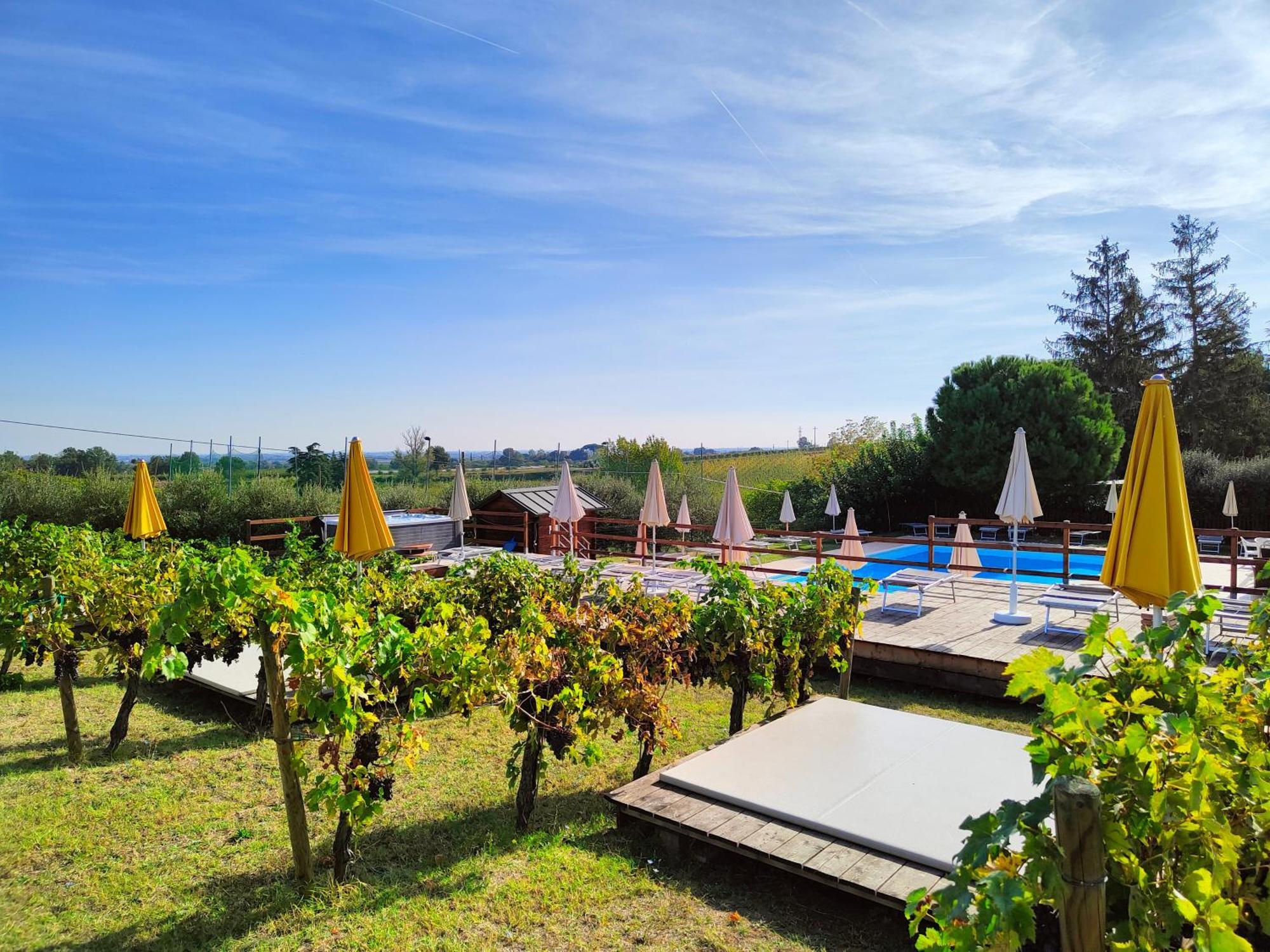 Agriturismo E Cantina La Sabbiona Faenza Exterior foto
